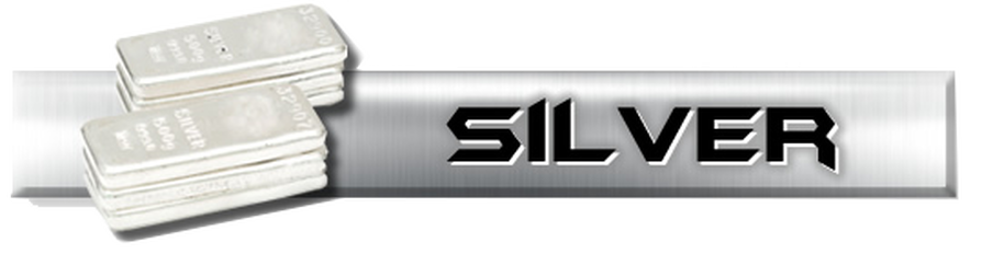 Silver Level sponsor Logo